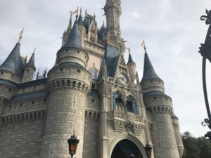 magic kingdom walt disey world christmas decorations 20181