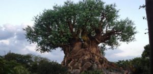 disney's animal kingdom tasting sampler rivers of light preferred seating