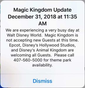 magic kingdom phase closure new year's eve 2018