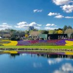 walt disney world epcot flower and garden festival 2020 outdoor kitchen menus