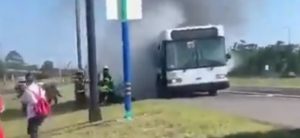 walt disney world college program bus fire