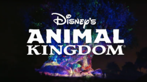 disney's animal kingdom christmas holiday 2019