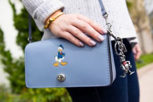 Pluto and Donald Coach