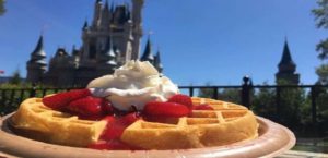 new disney dining plan plus walt disney world