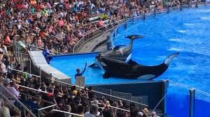 seaworld furlough