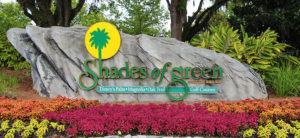 shades of green
